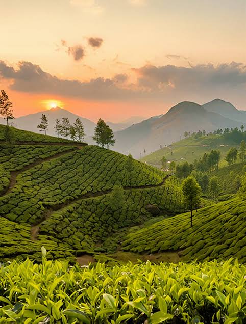 Munnar